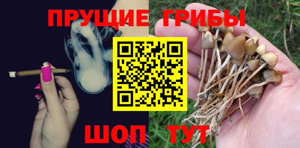 Белогорск  Псилоцибиновые грибы MAGIC MUSHROOMS  Галлюциногенные грибы Psilocybe  Вход с VPN 